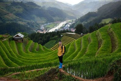 عکس باورنکردنی مزرعه برنج پلکانی در ویتنام