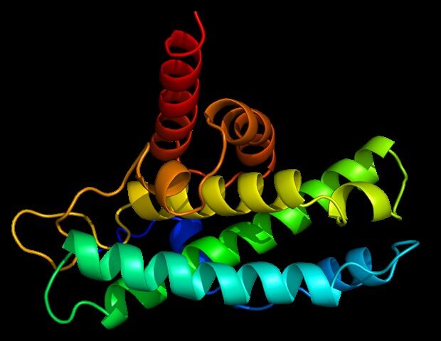 ساختار مولکولی پروتیین اصلی ویروس کرونا مشخص شد