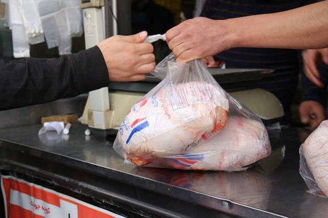 وزیر کشاورزی: مرغ کیلویی ۱۸ و ۵۰۰ در تمام فروشگاه‌ها موجود است