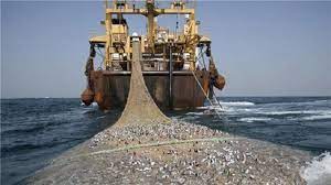 سازمان حفاظت محیط زیست: بسیاری از زیستگاه‌های خلیج فارس از بین رفته‌اند