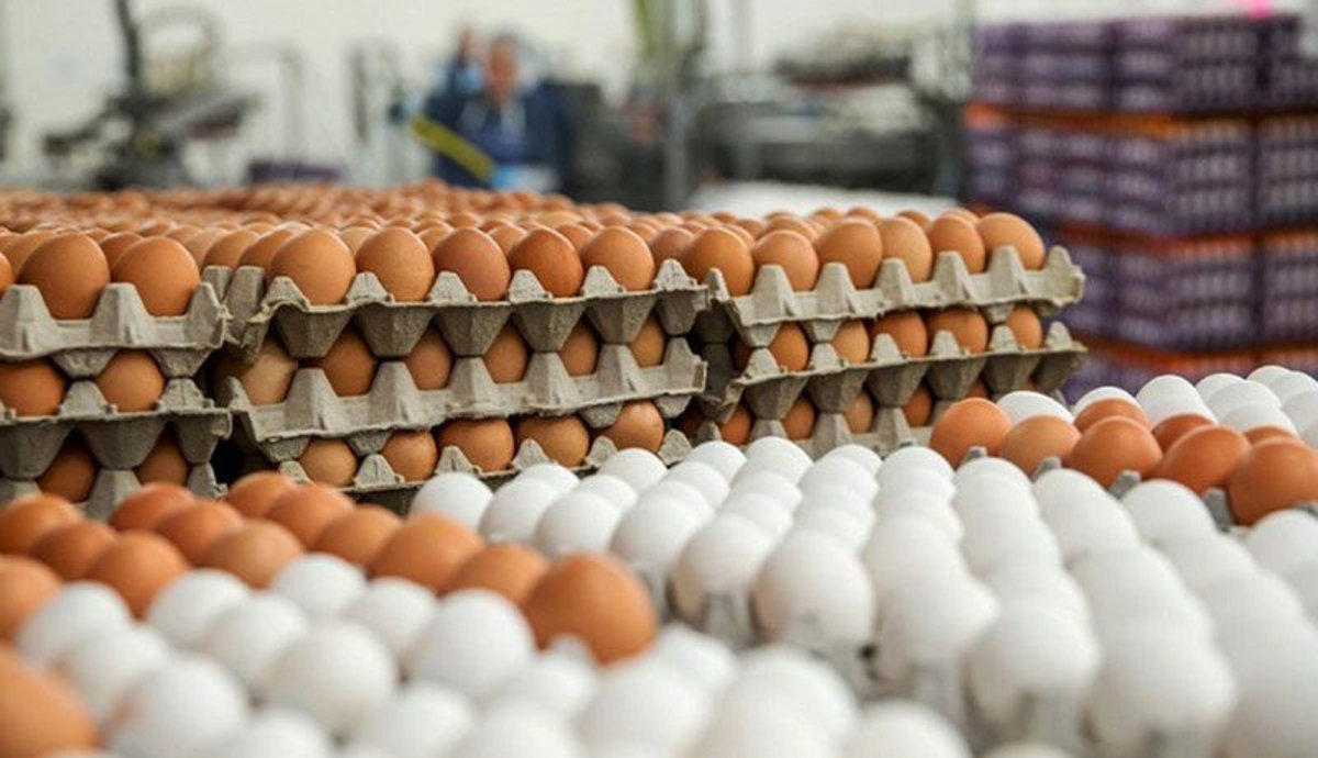 ۱۰ هزار تن تخم مرغ وارد می‌شود
