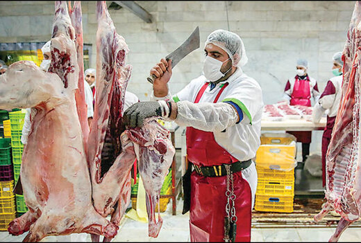 تغییر قیمت گوشت قرمز در بازار/ ماهیچه گوساله چقدر شد؟