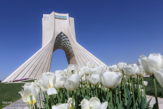 رنگین کمان لاله ها در تهران(+عکس)