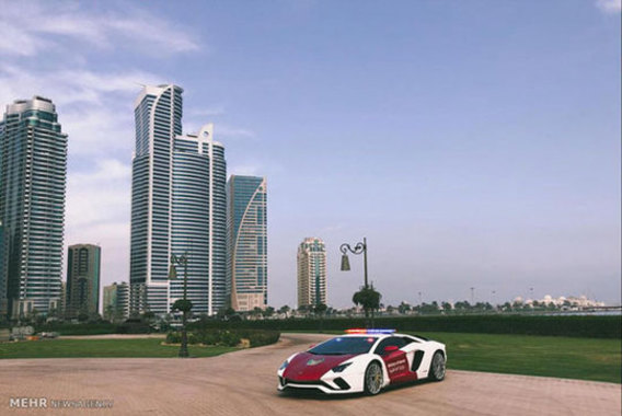خودروهای پلیس امارات‎ (+عکس)