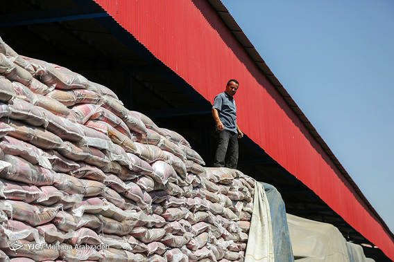 احتکار برنج در انبار سنگ!(+عکس)