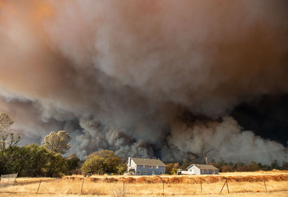 گردباد آتش در کالیفرنیا (+عکس)
