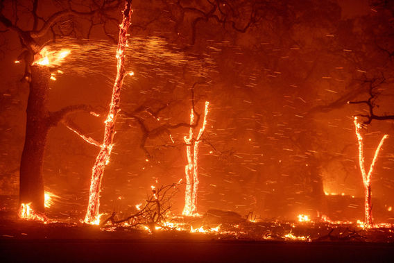 گردباد آتش در کالیفرنیا (+عکس)