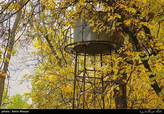 رنگ پاییز در کوچه باغ های تهران (+عکس)