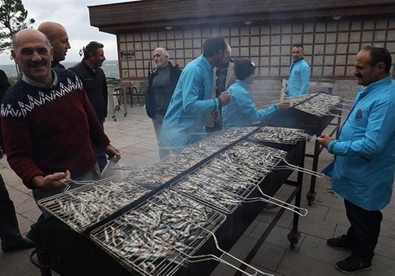ضیافت‌های رایگان ماهی کیلکا در ترکیه (+عکس)