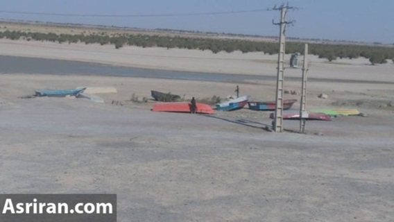 فروش ماهی مرده رود خشک شده هیرمند برای کسب درآمد(+عکس)