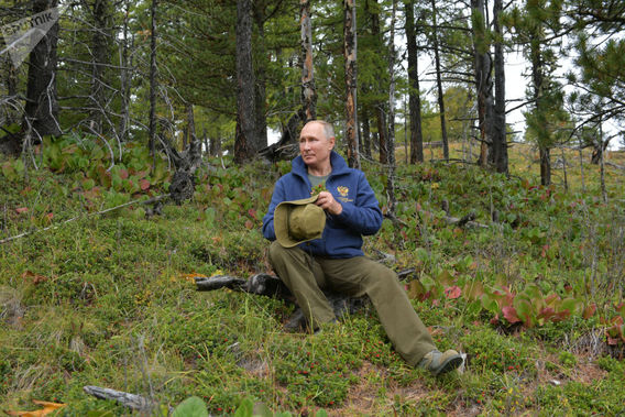رئیس جمهور روسیه در جنگل های سیبری (+عکس)
