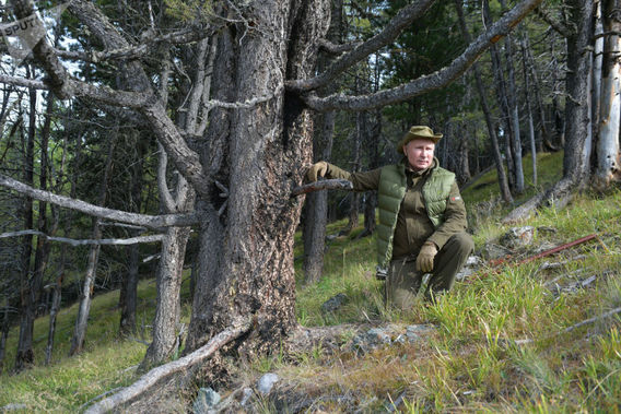 رئیس جمهور روسیه در جنگل های سیبری (+عکس)