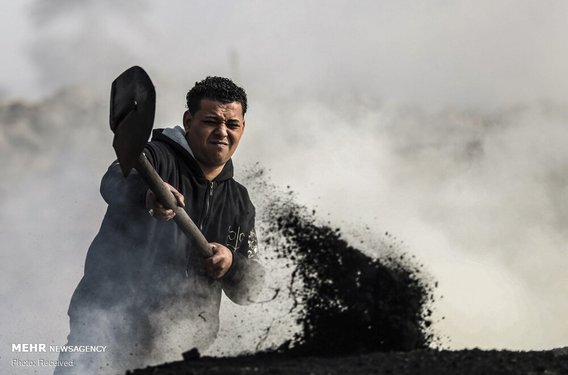 کارخانه تولید ذغال در مصر (+عکس)