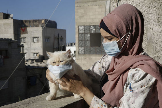 هنرمند فلسطینی با گربه اش در جنوب غزه
