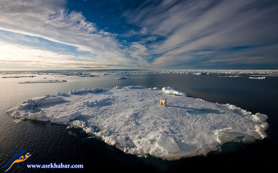 تصاویر دیدنی از زندگی یک خانواده متفاوت در قطب