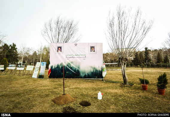 کج سلیقگی در مراسم درختکاری رئیس جمهور (+عکس)