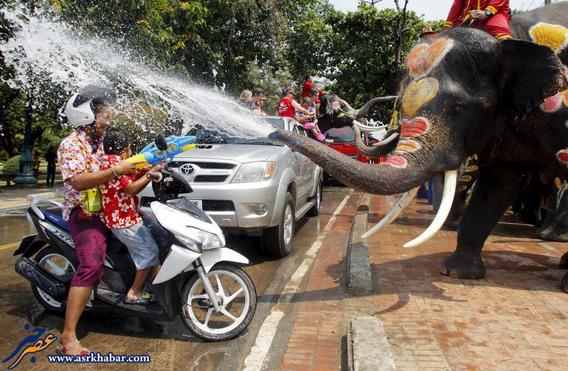 تصاویر بامزه از جشن آب پاشی در تایلند