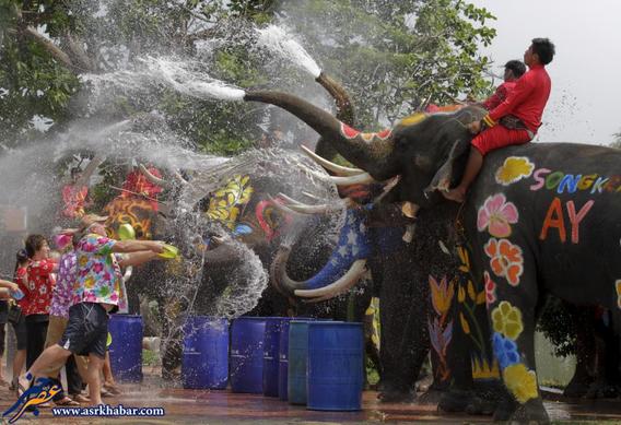 تصاویر بامزه از جشن آب پاشی در تایلند