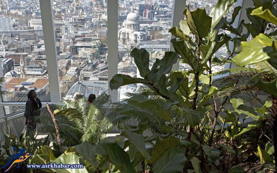 بلند ترین باغچه دنیا (تصاویر)