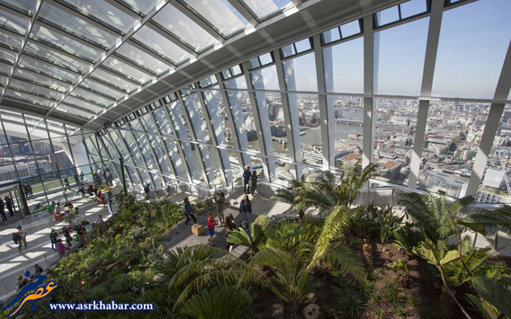 بلند ترین باغچه دنیا (تصاویر)