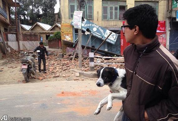 زلزله 7.8 ریشتری نپال: 758 کشته تا این لحظه (+عکس)