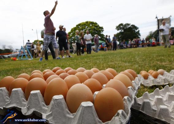 مسابقات جهانی پرتاب تخم مرغ (عکس)