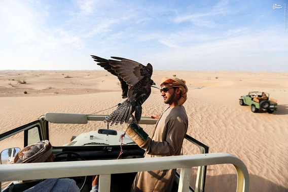 تفریح لوکس در بیابان‌های امارات (عکس)