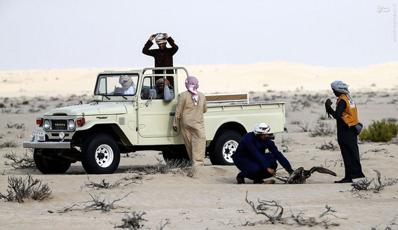 تفریح لوکس در بیابان‌های امارات (عکس)