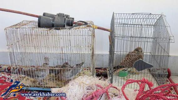ادوات صید پرندگان شکاری کشف شده از یک صیاد در استان خراسان. 