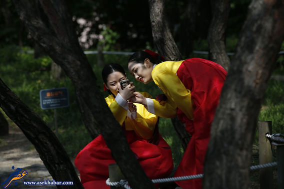 جشن تکلیف زنان و مردم کره جنوبی (عکس)