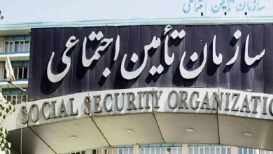 آغاز پالایش اطلاعات ۳۸ هزار کارگاه؛ حالا نوبت کاهش مراجعات و تسهیل امور کارفرمایان است