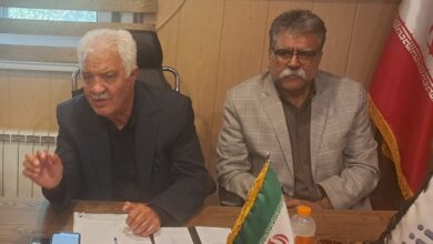 برهانی: بازنشستگان تامین اجتماعی نباید قربانی تصمیمات اجرایی در حوزه درمان شوند